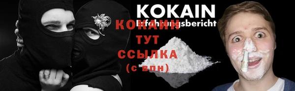 стаф Баксан