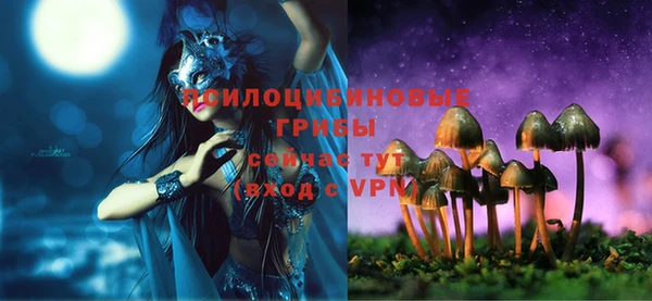 стаф Баксан