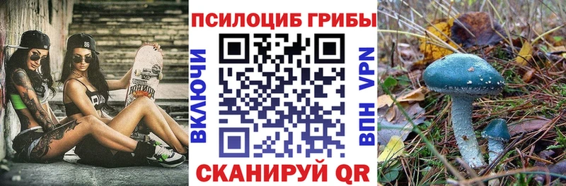цена   Горняк  ОМГ ОМГ сайт  Галлюциногенные грибы Psilocybine cubensis 