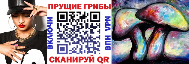 Псилоцибиновые грибы GOLDEN TEACHER Горняк